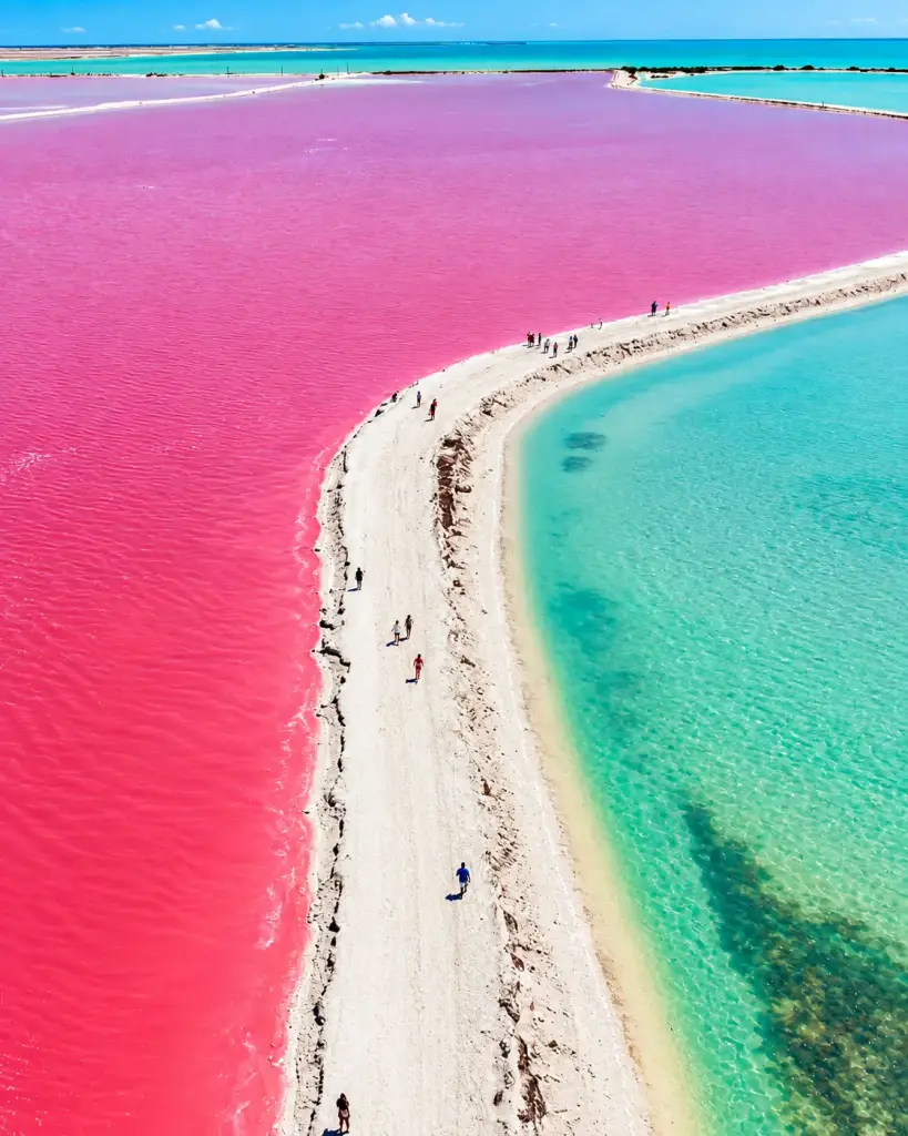 Las Coloradas y Ría Lagartos